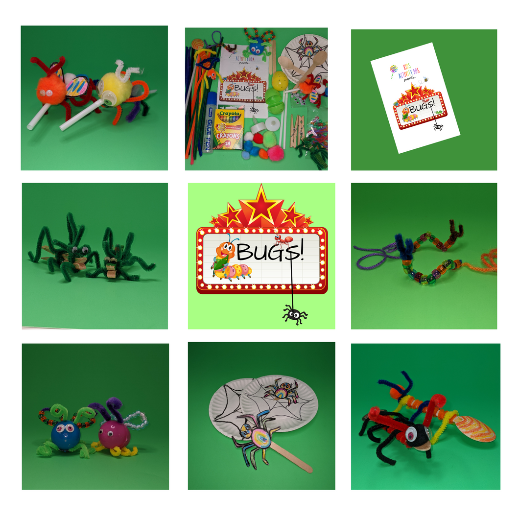 Bugs Activity Box with NEW video tutorials